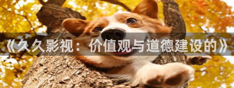 宝鸡大地影院今日影讯：《久久影视：价值观与道德建设的》