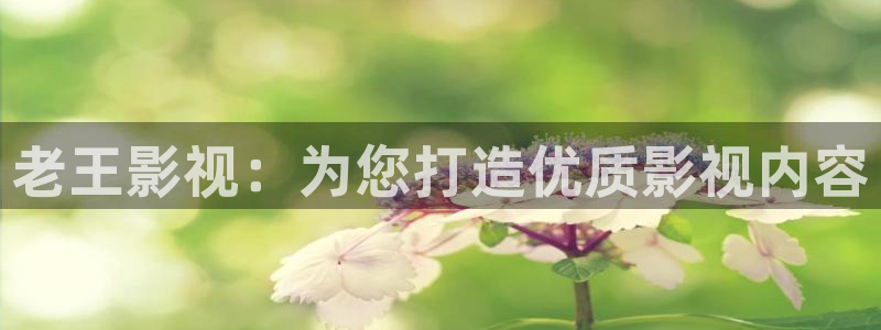 青苹果乐园大地资源高清