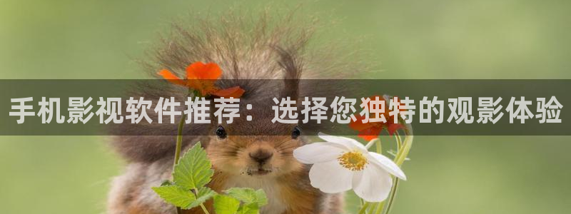 运城大地影院：手机影视软件推荐：选择您独特的观影体验