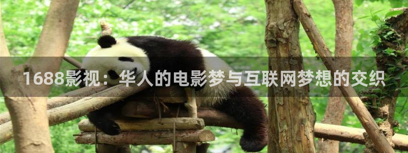 大地资源高清视频免费：1688影视：华人的电影梦与互联网梦想的交织