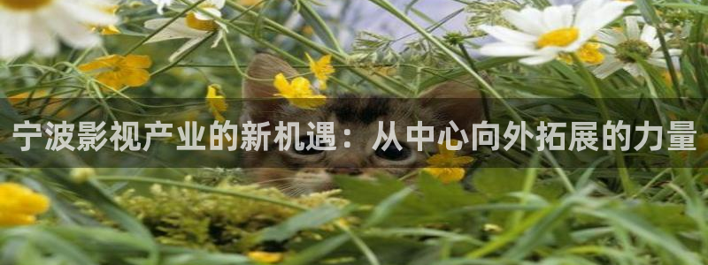 大地私人影院：宁波影视产业的新机遇：从中心向外拓展的力量