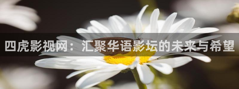 潜江大地影院今日影讯：四虎影视网：汇聚华语影坛的未来与希望