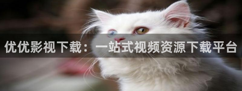 大地资源二中文在线影视观看：优优影视下载：一站式视频资源下载平台