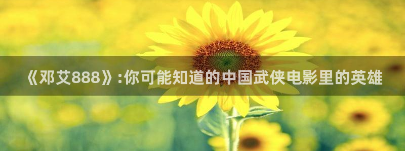 天门大地影院影讯：《邓艾888》:你可能知道的中国武侠电影里的英雄