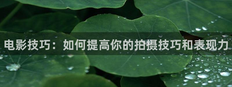 影视大地：电影技巧：如何提高你的拍摄技巧和表现力