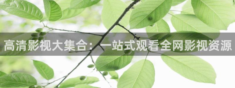 大地资源官网在线观看视频：高清影视大集合：一站式观看全网影视资源