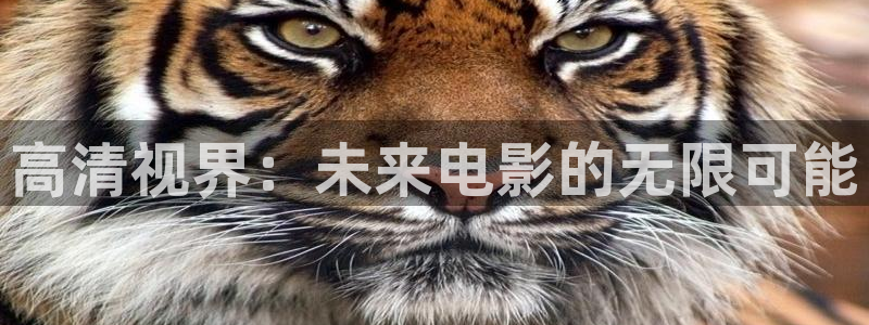 大地资源电影网第三页：高清视界：未来电影的无限可能