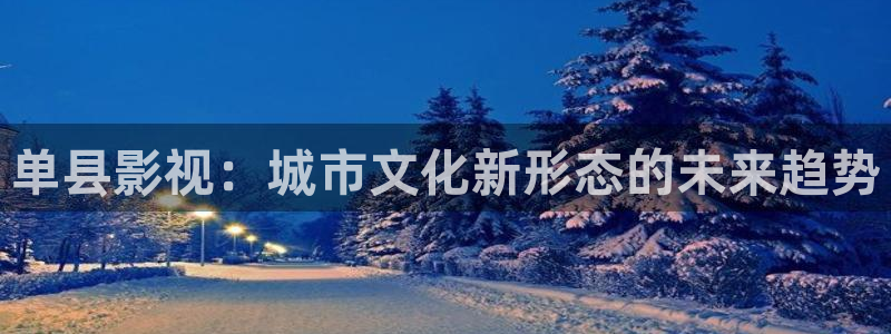 大地资源影视第二页：单县影视：城市文化新形态的未来趋势