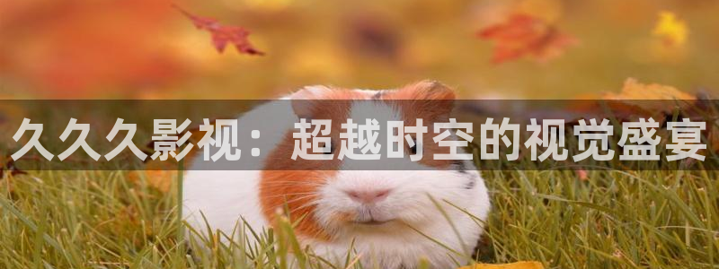 大地影院新市天地